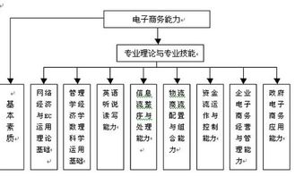 电子商务专业的分类