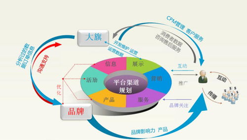 电子商务专业a类