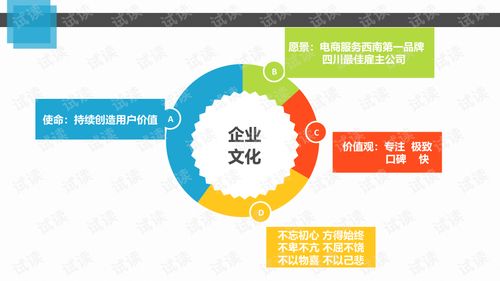 电子商务专业方案图片