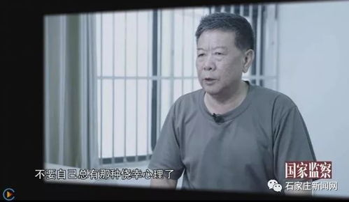 内鬼刘艳红主动投案，揭开腐败案件背后惊心动魄的真相