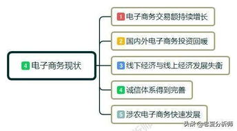 电子商务专业it方向