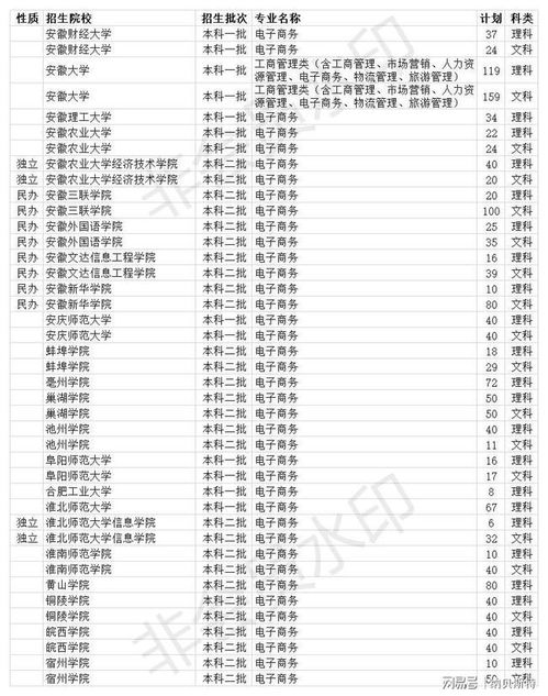 电子商务重点专业排名