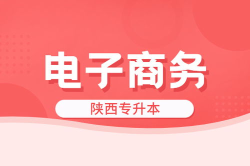 营销专业从事电子商务