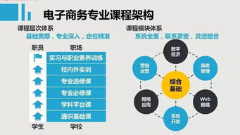 电子商务专业的软件技能