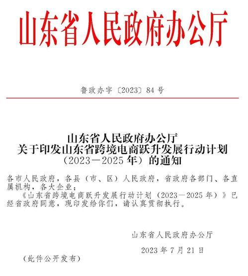 电子商务专业行动计划