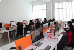 大学专业电子商务干嘛的