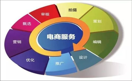 电子商务专业信息有哪些