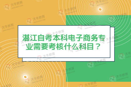 电子商务专业国考考哪