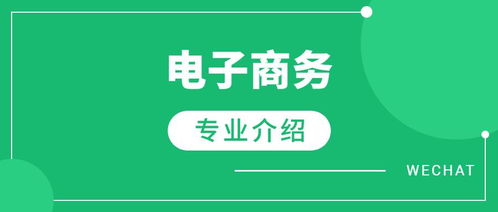 电子商务专业怎么升本