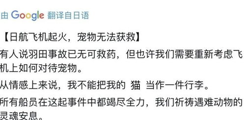 董某事件中最无辜的受害者，她是谁？