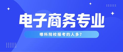 电子商务专业考公类别