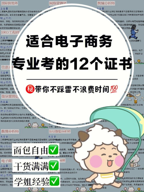 电子商务专业报考工科
