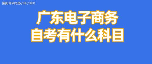 电子商务专业能考哪些局