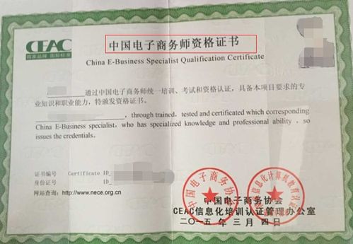 电子商务专业考些什么证