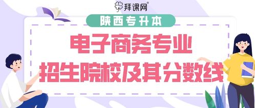 陕西电子商务专业分数线