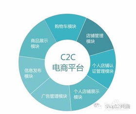 电子商务是个啥专业类别