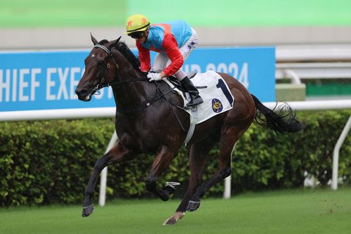 香港赛马发生严重事故 三名骑师坠马