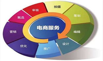江苏省电子商务专业单招