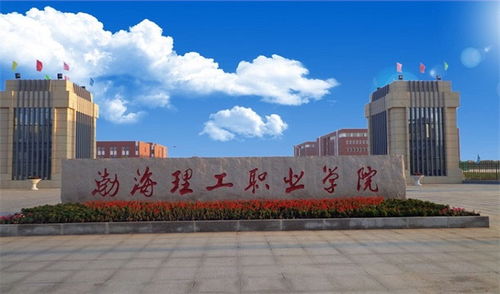 荆门职业学院电子商务专业代号